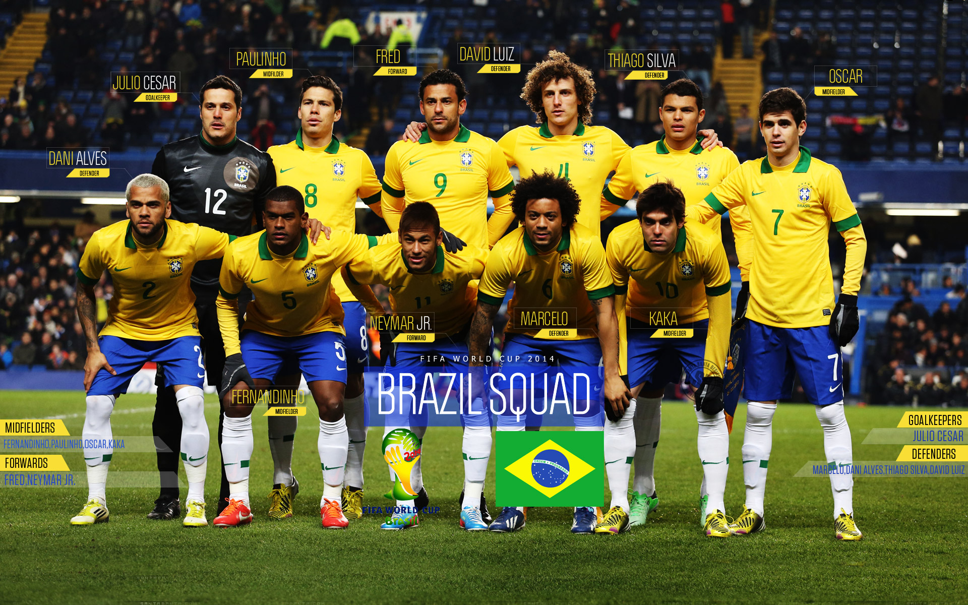 تیم ملی برزیل 2014